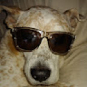 Meet your Posher, Ramona